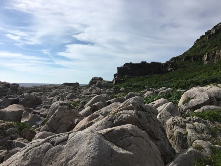 attachImage_526705002.jpeg?type=w773