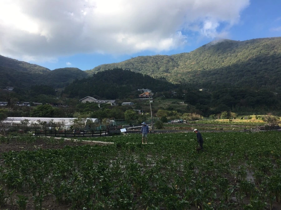 IMG_5359.JPG?type=w966