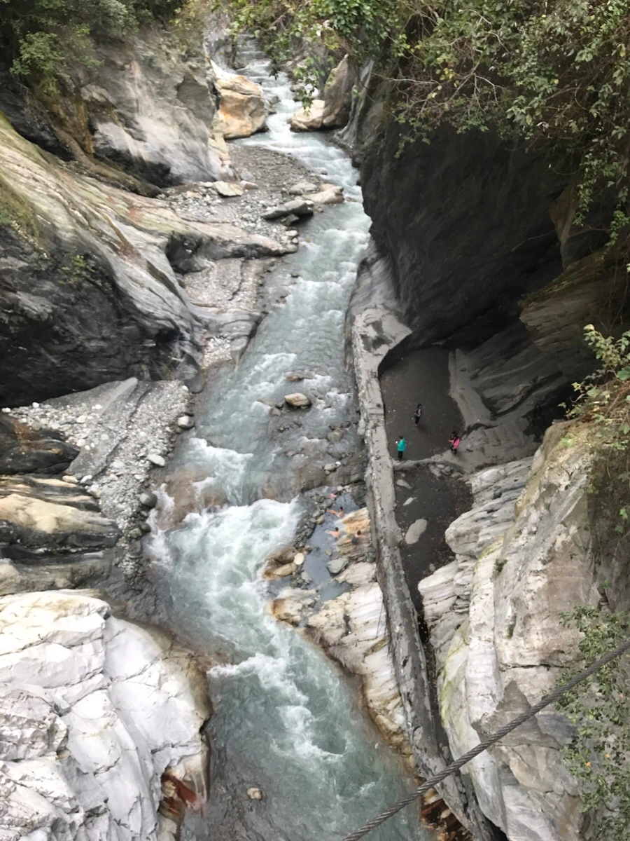 IMG_2093.jpg?type=w966