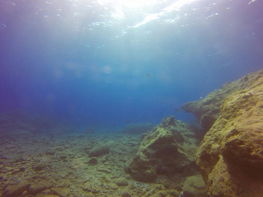 IMG_3605.jpg?type=w966