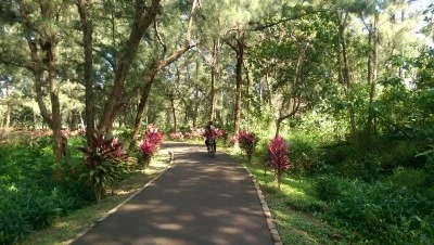 IMAG3461.jpg?type=w2