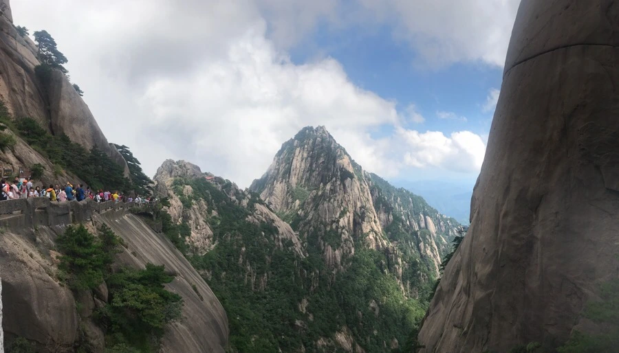 IMG_0877.jpg?type=w966