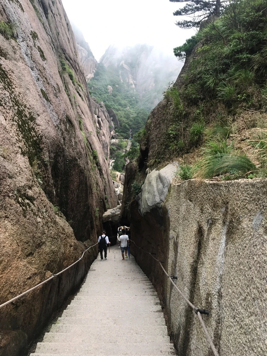 IMG_0823.jpg?type=w966