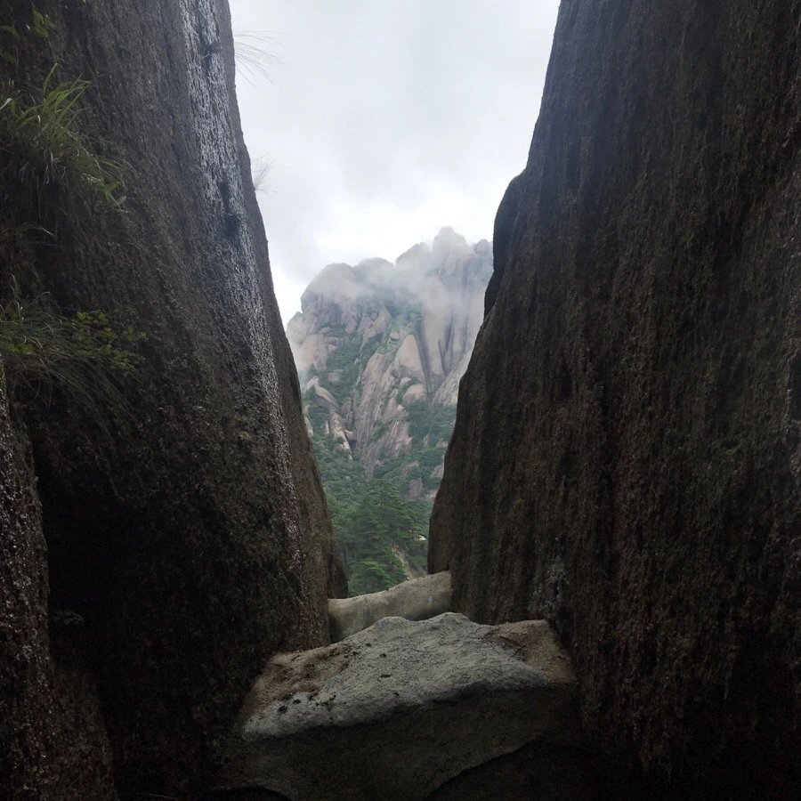 IMG_0826.jpg?type=w966