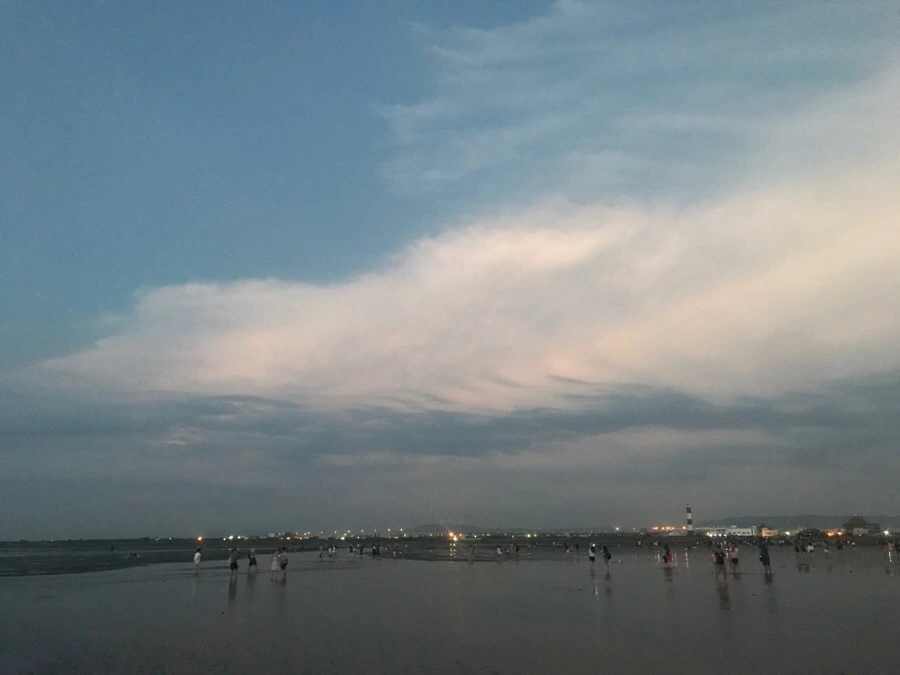 IMG_3384.jpg?type=w966