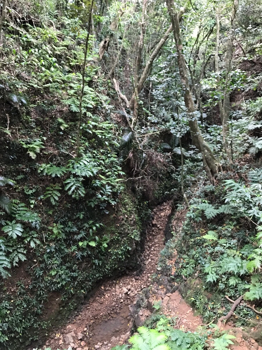 IMG_3644.jpg?type=w966