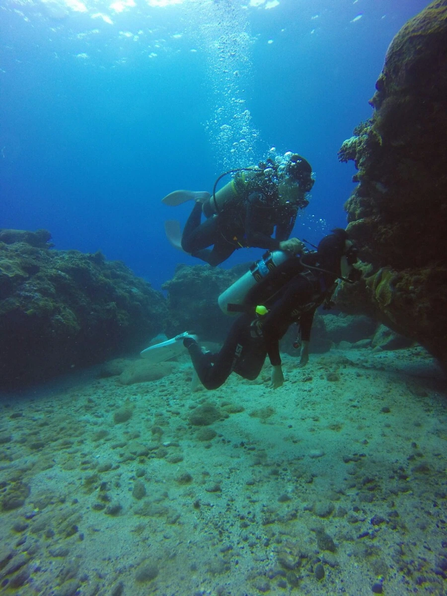 IMG_3582.jpg?type=w966