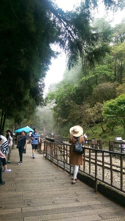 IMAG4954.jpg?type=w773