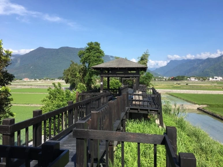 attachImage_1246530987.jpeg?type=w773