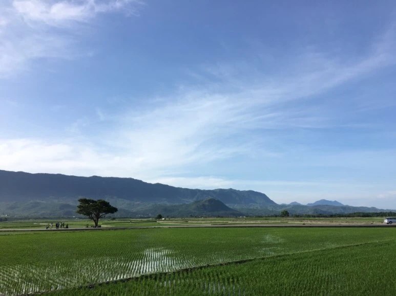 attachImage_2374785316.jpeg?type=w773