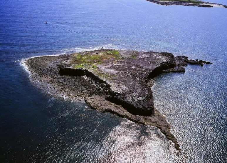 S__2809909.jpg?type=w773