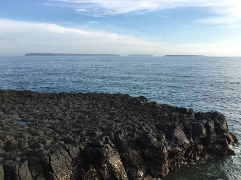 attachImage_1654746610.jpeg?type=w773