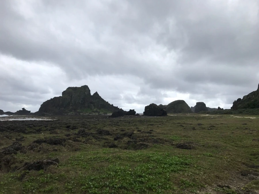 IMG_1616.jpg?type=w966