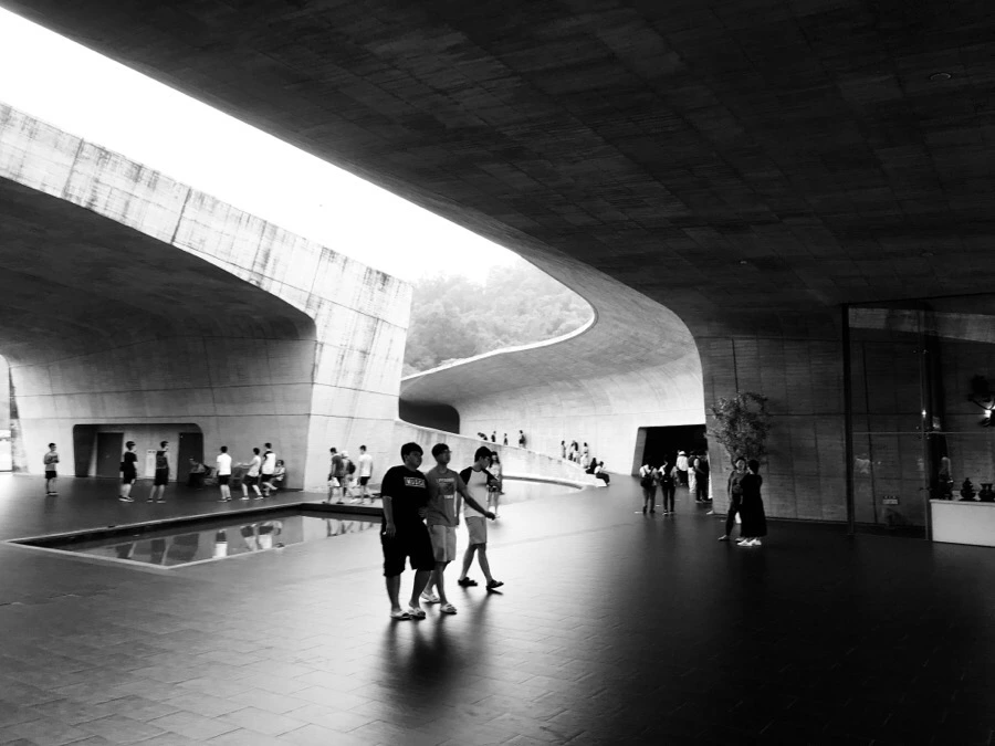 IMG_3098.jpg?type=w966