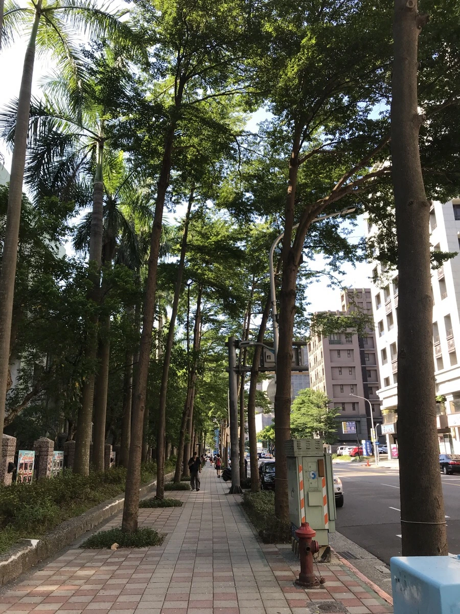 IMG_9599.jpg?type=w966