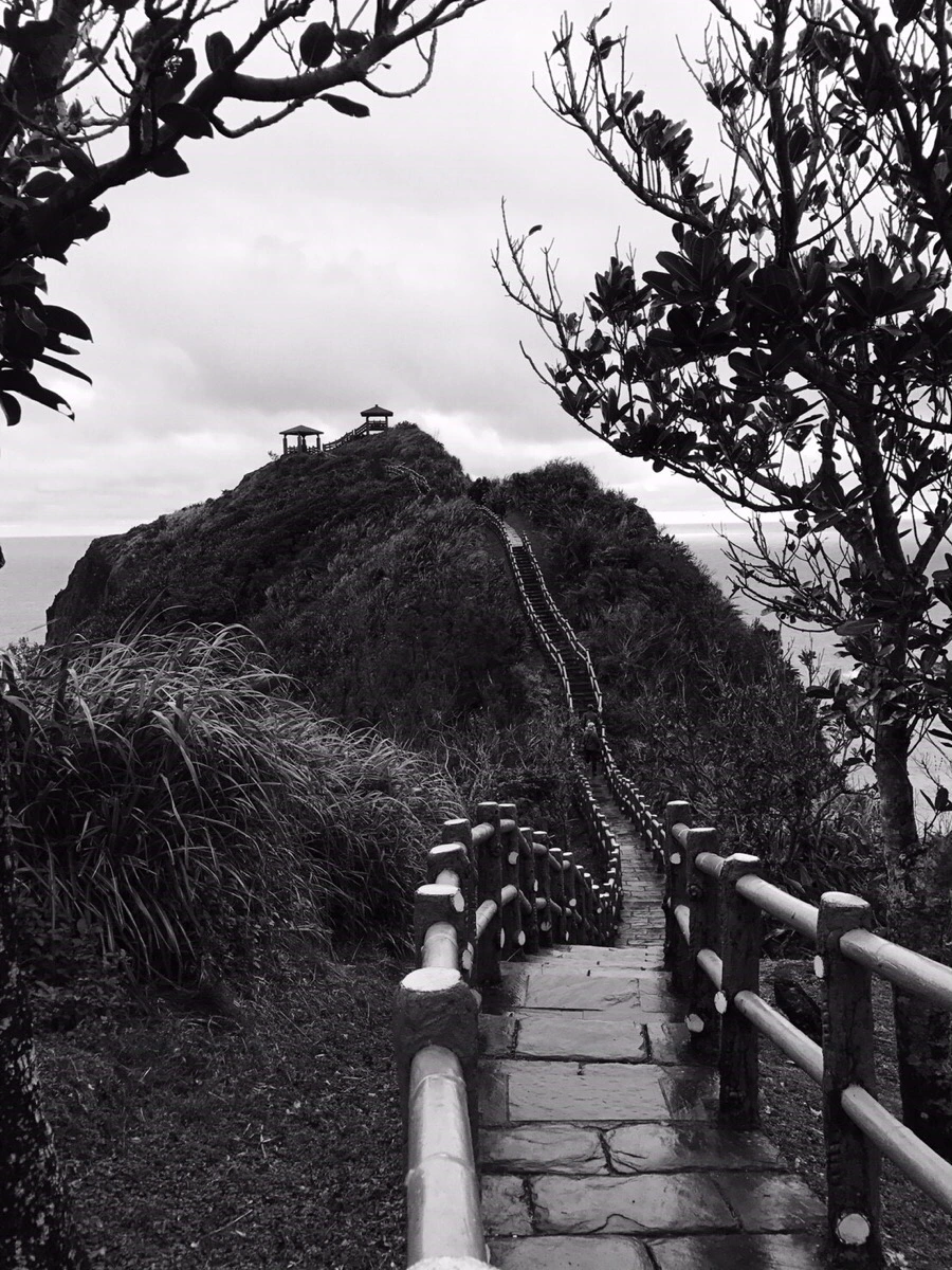 IMG_1930.jpg?type=w966