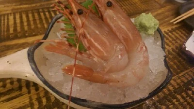 IMAG5448.jpg?type=w966