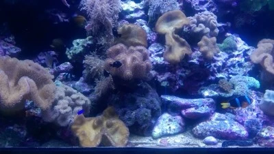 IMAG3288.jpg?type=w2