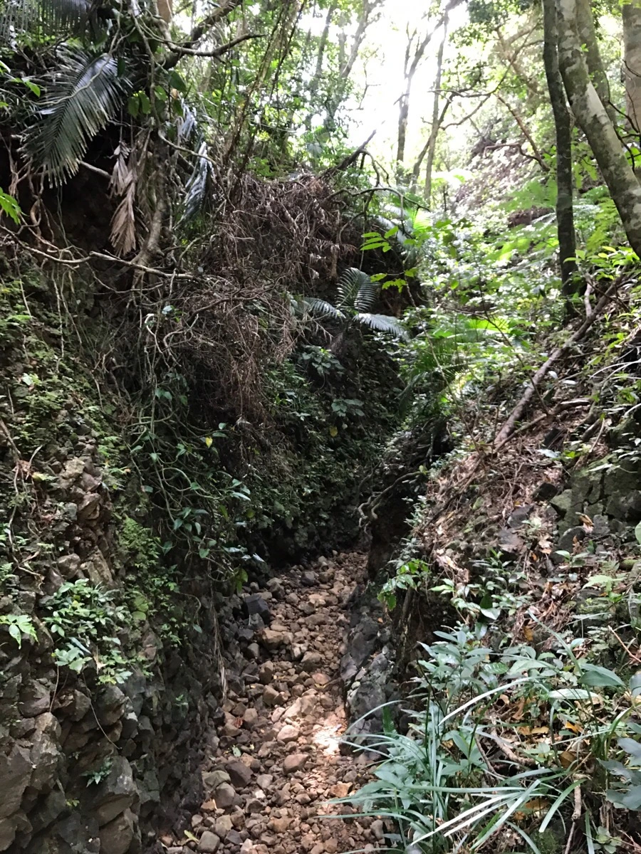 IMG_3650.jpg?type=w966