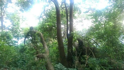 IMAG6006.jpg?type=w773