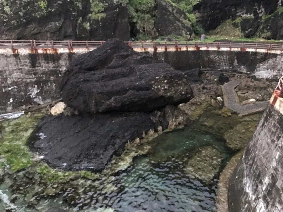 IMG_1504.jpg?type=w966