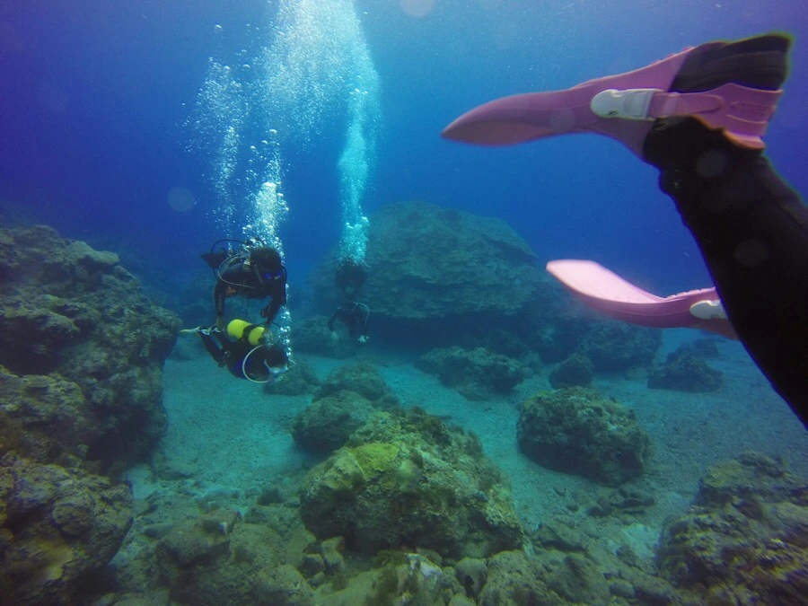 IMG_3578.jpg?type=w966