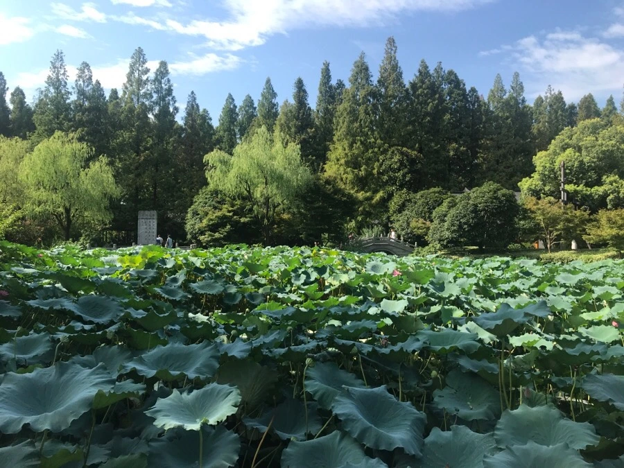 IMG_1156.jpg?type=w1