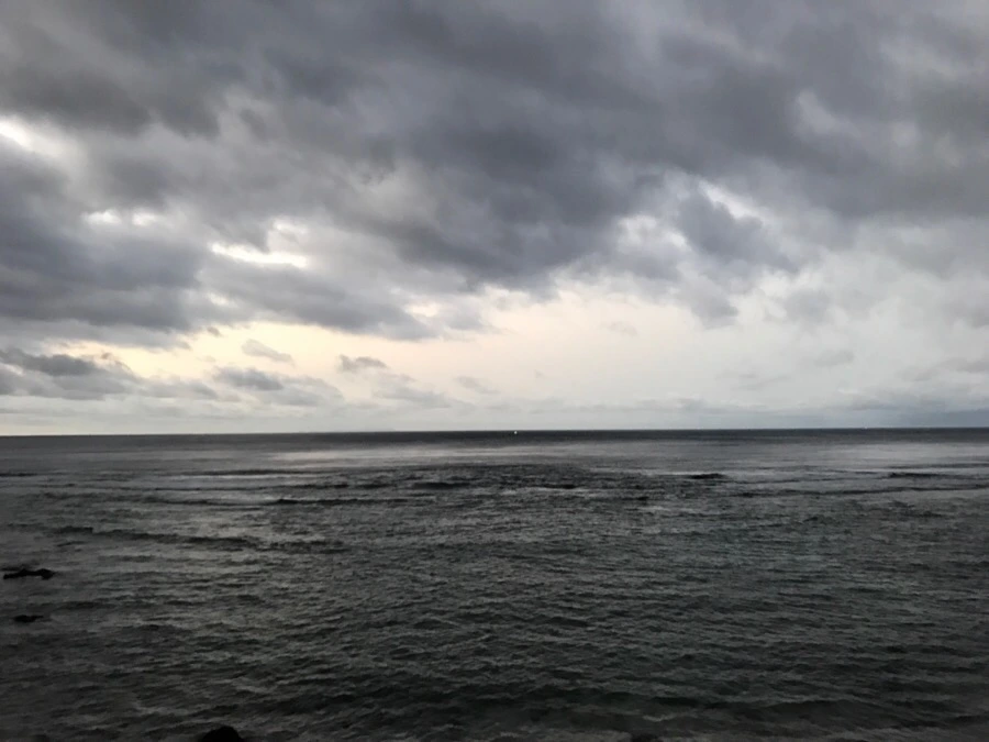 IMG_1498.jpg?type=w966