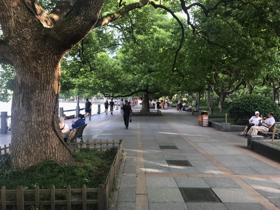 IMG_1041.jpg?type=w966