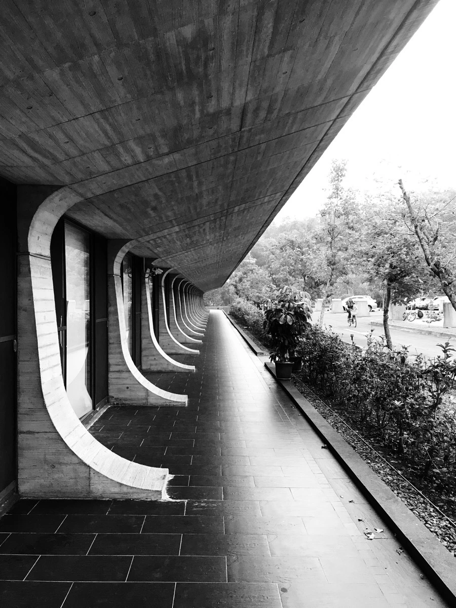 IMG_3117.jpg?type=w966