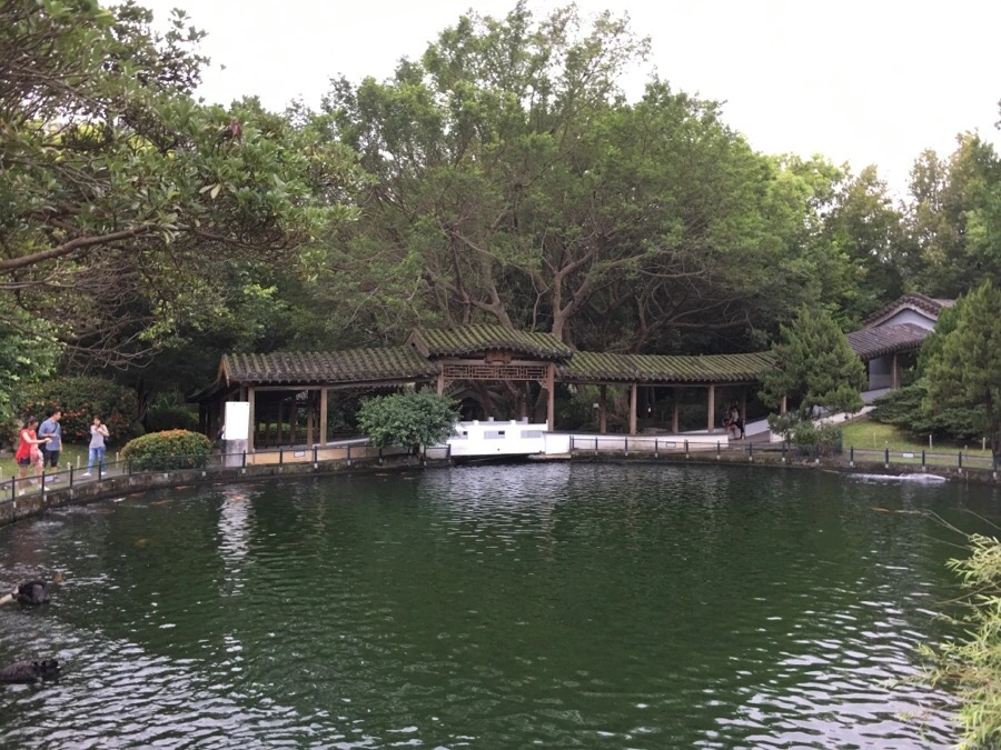 attachImage_2804952040.jpeg?type=w966