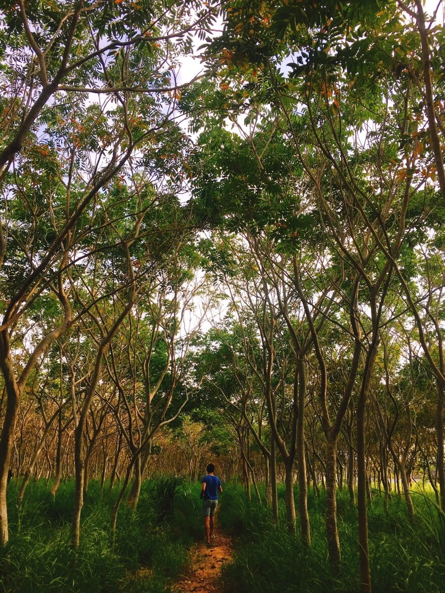 IMG_3478.jpg?type=w966