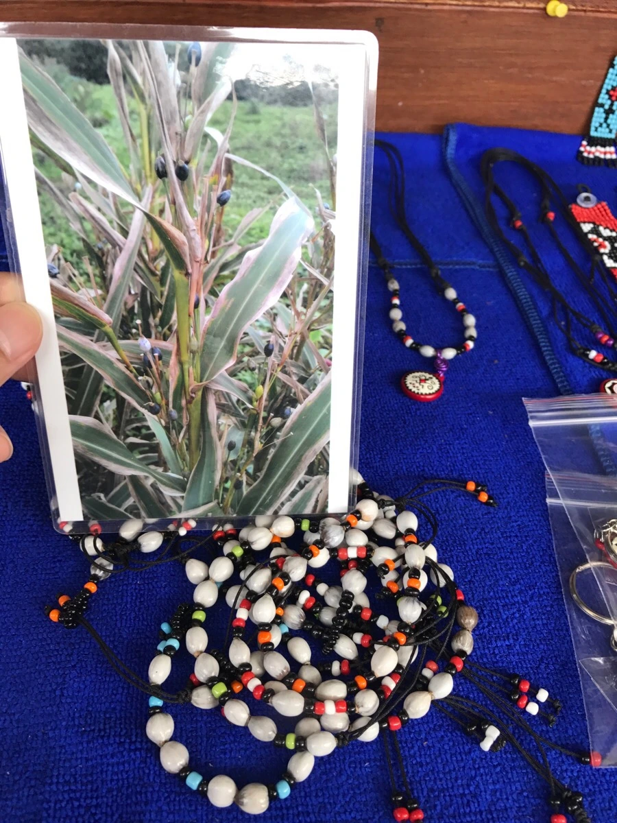 IMG_3430.jpg?type=w966