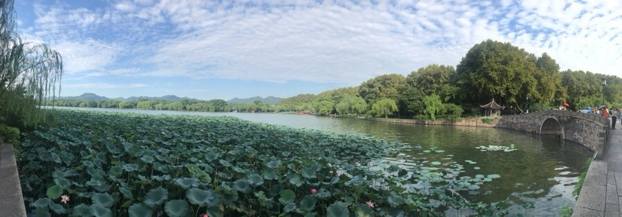 IMG_1105.jpg?type=w966