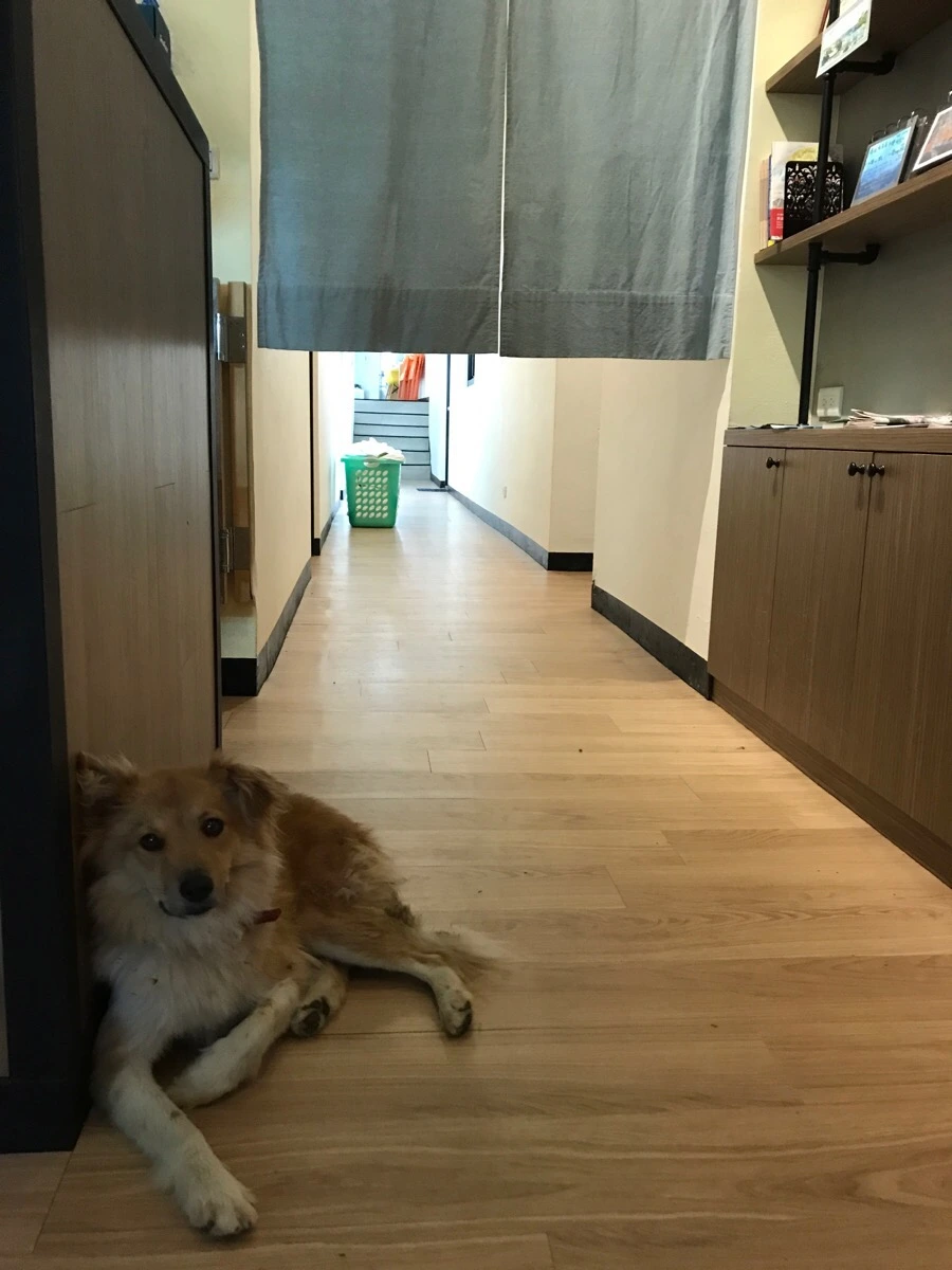 IMG_8227.jpg?type=w966