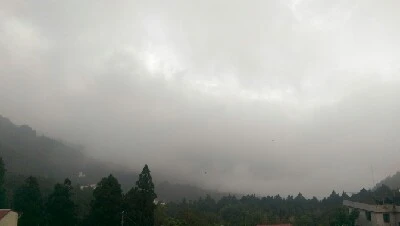 IMAG4823.jpg?type=w773