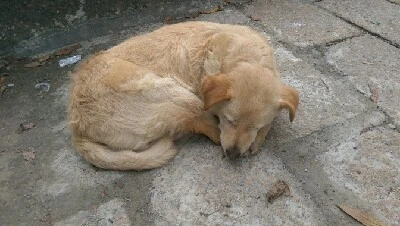 IMAG5132.jpg?type=w773