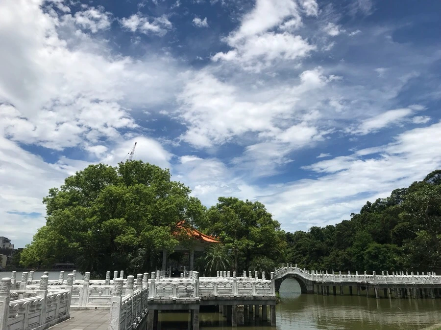 IMG_9896.jpg?type=w966