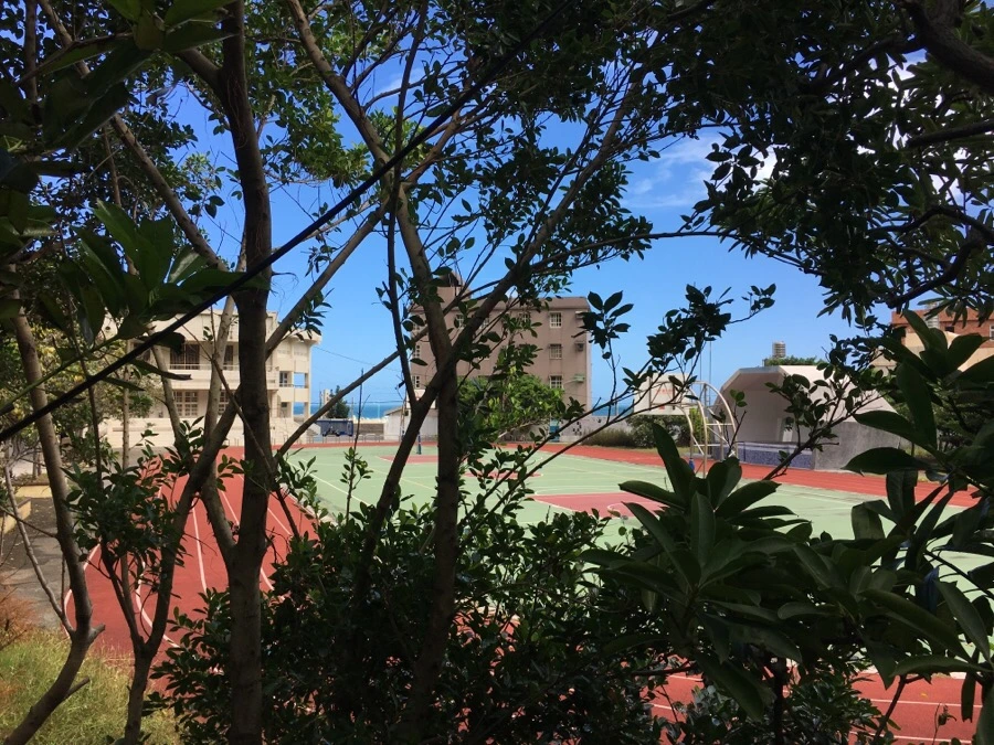 IMG_4995.JPG?type=w966