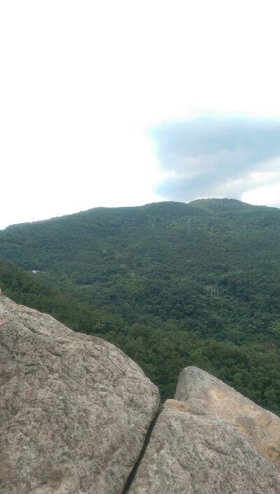 IMAG6107.jpg?type=w773