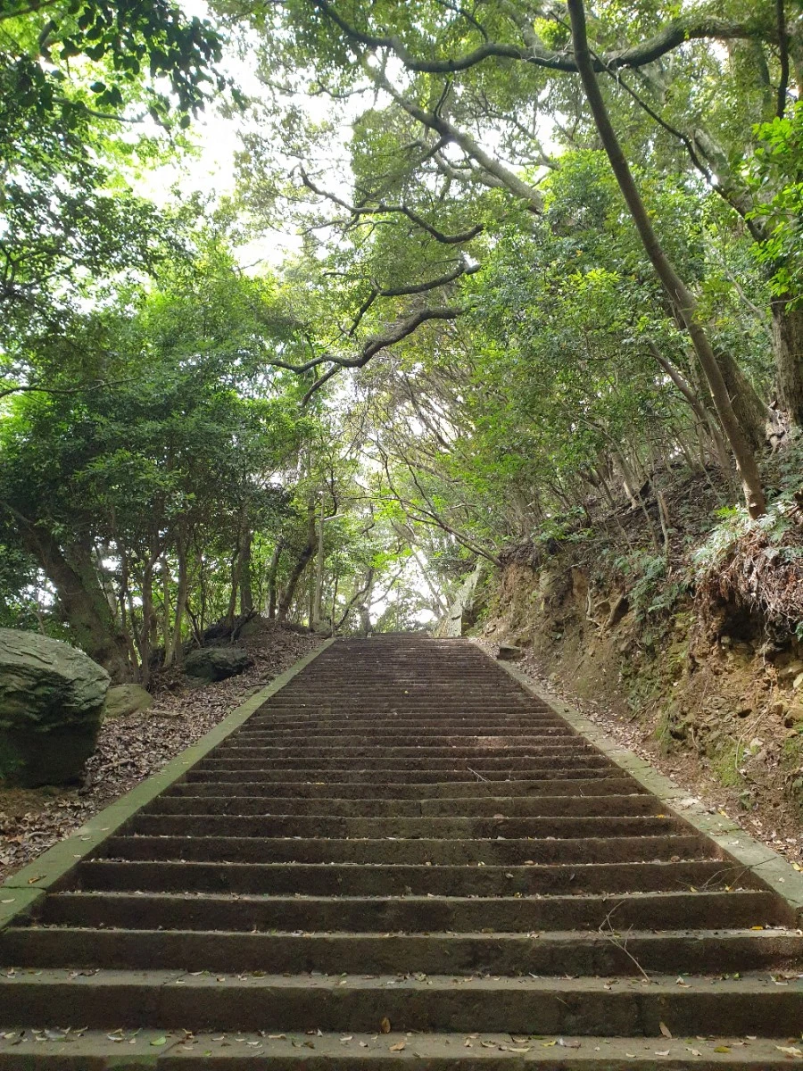 20190608_134138.jpg?type=w1