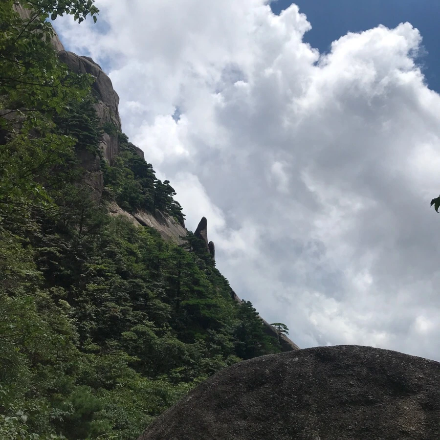 IMG_0836.jpg?type=w966