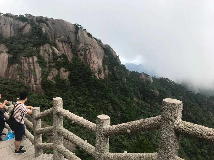 IMG_0810.jpg?type=w966