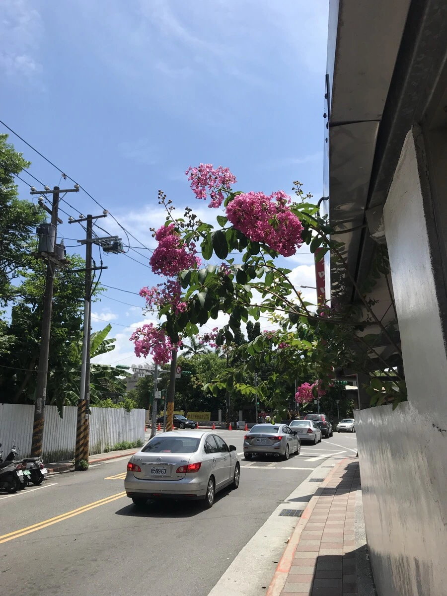 IMG_9596.jpg?type=w966