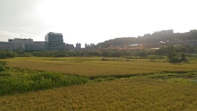 IMAG6234.jpg?type=w773