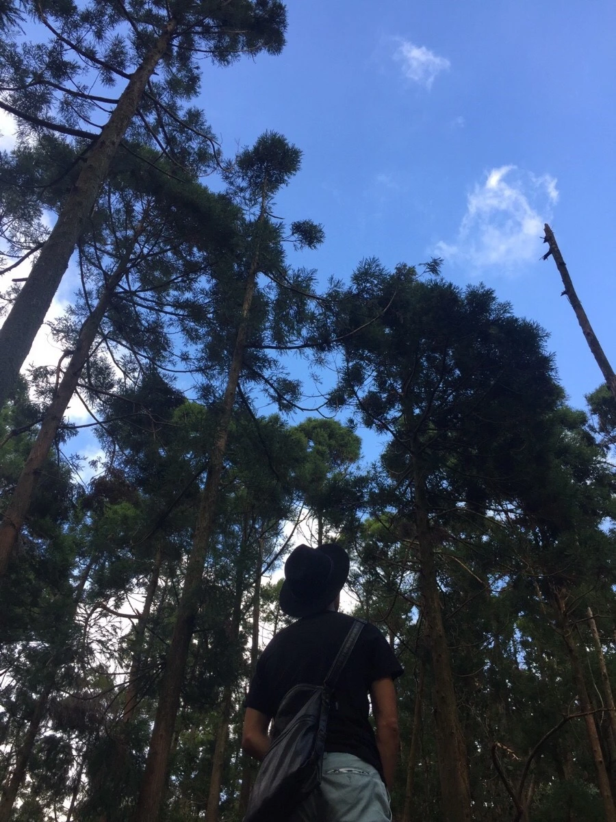 IMG_4195.JPG?type=w966