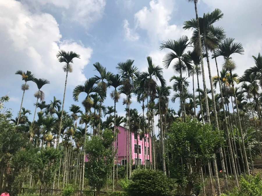 IMG_3221.jpg?type=w966