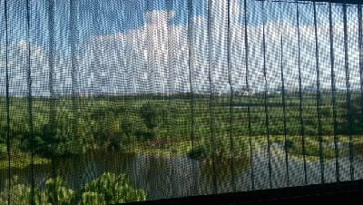 IMAG6217.jpg?type=w773