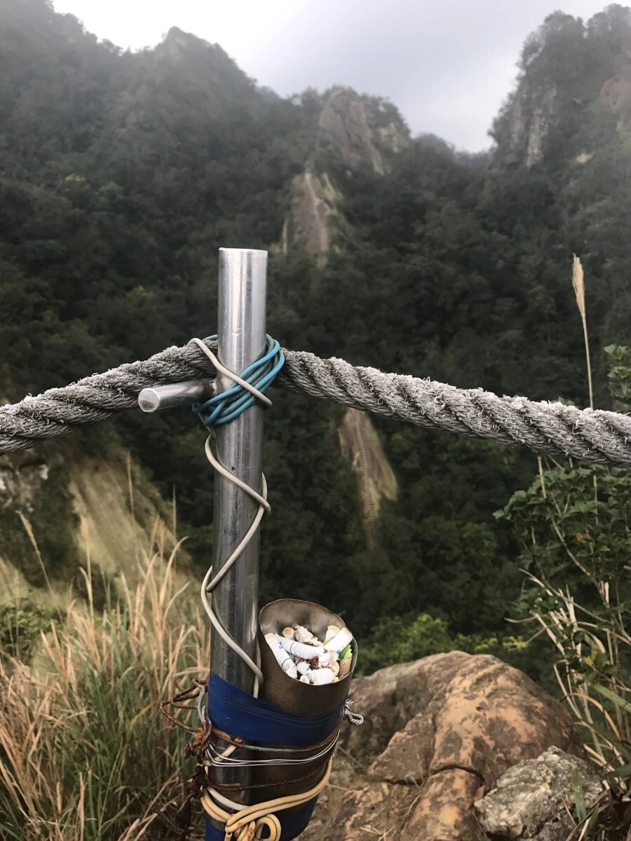 IMG_1005.jpg?type=w966