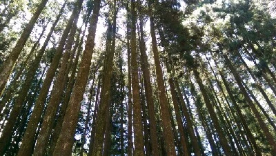 IMAG4901.jpg?type=w773